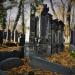 Jewish Cemetery in Bytom