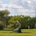 Скульптура в городе Комсомольск-на-Амуре