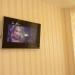 Апартаменты VIP in center в городе Сочи