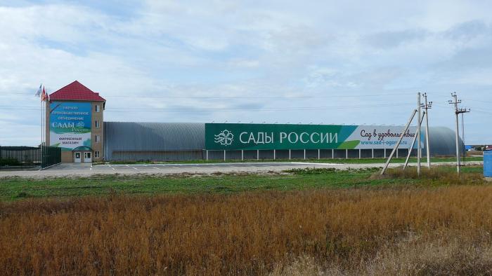 Сады россии челябинск фото