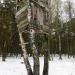 Шалаш на дереве в городе Воскресенск