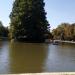 Lacul din Parcul Central în Cluj-Napoca oraş