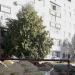 Астаховский пер., 87 в городе Каменск-Шахтинский
