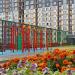 Цветник в городе Москва
