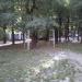 Футбольная площадка в городе Киев
