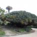 Jardim Botânico do Museu de História Natural na Lisboa city