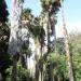 Jardim Botânico do Museu de História Natural na Lisboa city