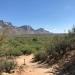 Pusch Ridge