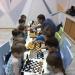 Мэри Поппинс игровая комната в городе Казань