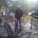 Лестница в городе Москва