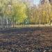Спортивная площадка в городе Москва