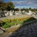 Mogiła zbiorowa rozstrzelanych przy ulicy Paulińskiej in Częstochowa city