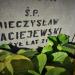 Mogiła zbiorowa rozstrzelanych przy ulicy Paulińskiej in Częstochowa city