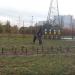 Площадка для выгула собак в городе Москва