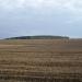 Kame - glacjal landform (near Rembiocha village)