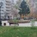 Клумба в городе Москва
