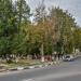 Памятник В. И. Ленину в городе Боровск