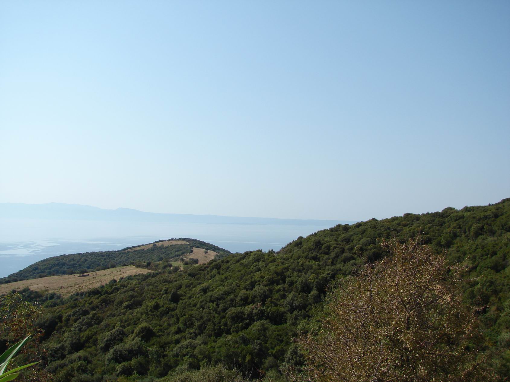 observation-deck