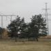 Бывшая кинологическая площадка в городе Москва