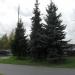Ельник в городе Москва