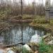 Пруд в городе Тверь