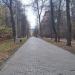 Центральная аллея в городе Москва