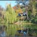 Pond in the park