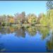 Pond in the park