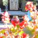 The grave Goss family in Warsaw city