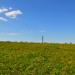 lookout tower