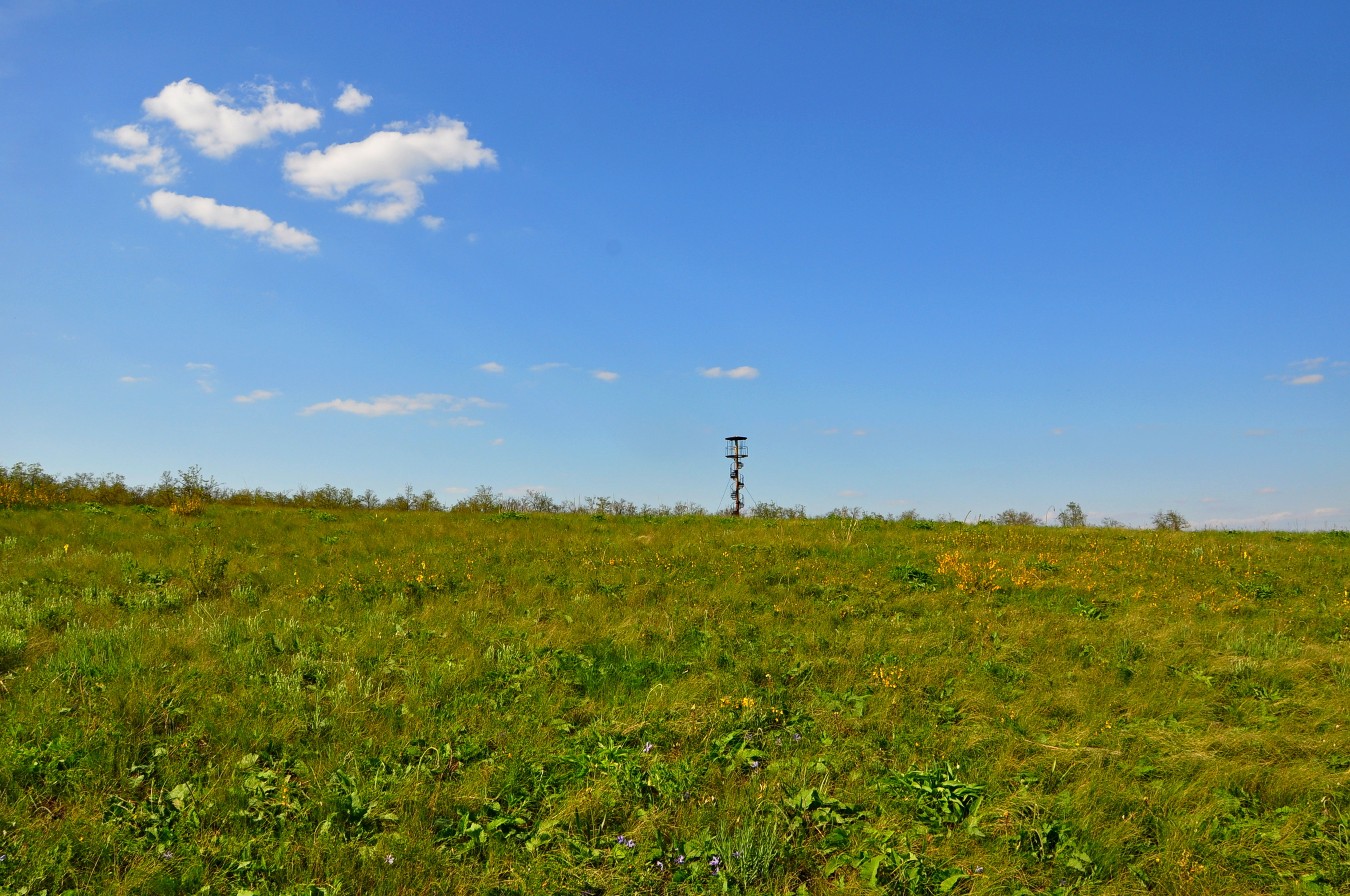 lookout-tower