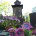 The grave of  Suchiński family in Warsaw city