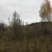 Бывшие ограждения огородов местных жителей в городе Москва