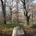 Камень с табличкой «Дубы Терлецкой дубравы» в городе Москва