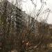 Зеленоград, корпус 405 в городе Москва