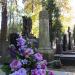 The grave of Adolf Erlicz in Warsaw city