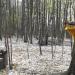 Поляна кормушек в городе Москва