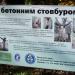 Дуб с бетонным стволом в городе Запорожье