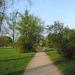 Park im. Księcia Janusza (pl) in Warsaw city