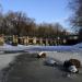 Малый остров Перервинского архипелага в городе Москва