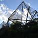 Snowdon Aviary in London city