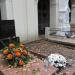 Free place for the grave in Warsaw city