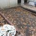 Free place for the grave in Warsaw city