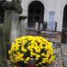 The Grave of Zofja Wojciechowska in Warsaw city