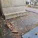 Two free places for grave in Warsaw city