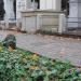 The grave of Tadeusz Rzewuski in Warsaw city