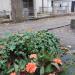 Free place for the grave in Warsaw city