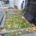 The grave of Aleksander Feist in Warsaw city