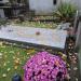 Free place for the grave in Warsaw city