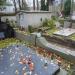 Free place for the grave in Warsaw city